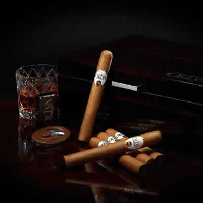 Oliva